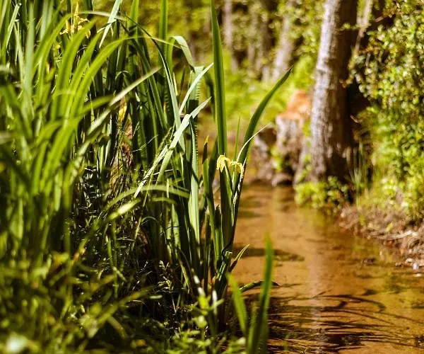 Wydmowe Zacisze Hotel *