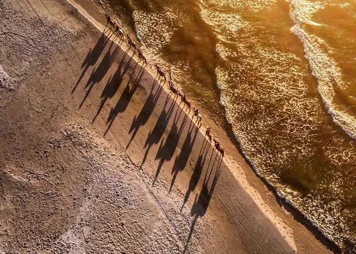 Wydmowe Zacisze Lubiatowo (Pomerania)