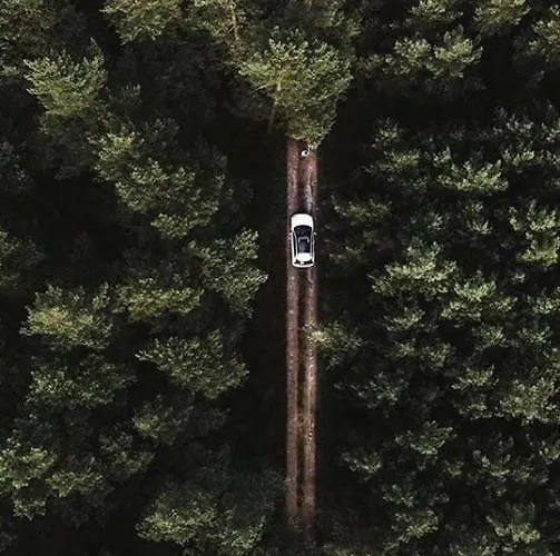 Hotel Wydmowe Zacisze *